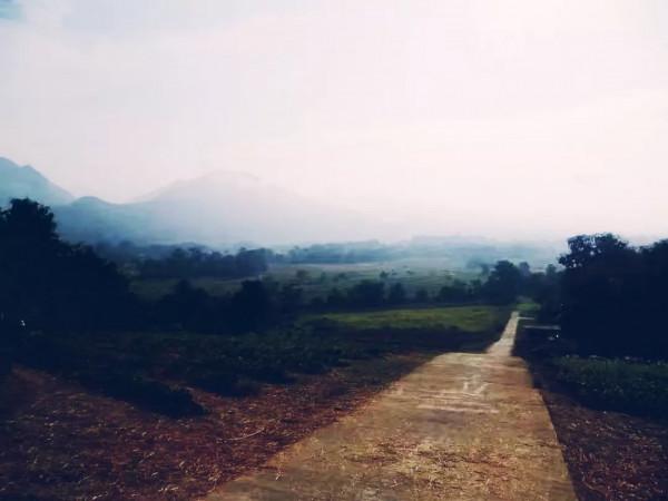 四國窮遊記之泰國篇