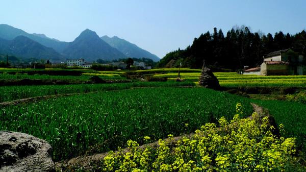 美麗景色，金山銀山不如綠水青山，人間美景，美不勝收