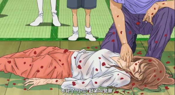 一張照片引發的慘案,柯南中的塑膠姐妹花 一張照片引發的慘案,柯南中的塑膠姐妹花