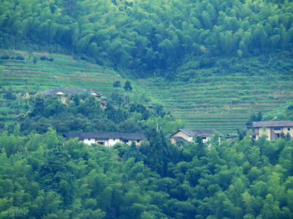 廣西奇聞軼事14&colon;上思縣篇