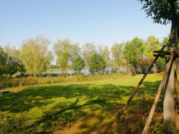 寶貝星辰，歡樂無限