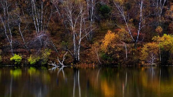 每天凌晨4點起床,只為拍攝烏蘭布統每年僅有15天的絕美秋景 每天凌晨4點起床,只為拍攝烏蘭布統每年僅有15天的絕美秋景