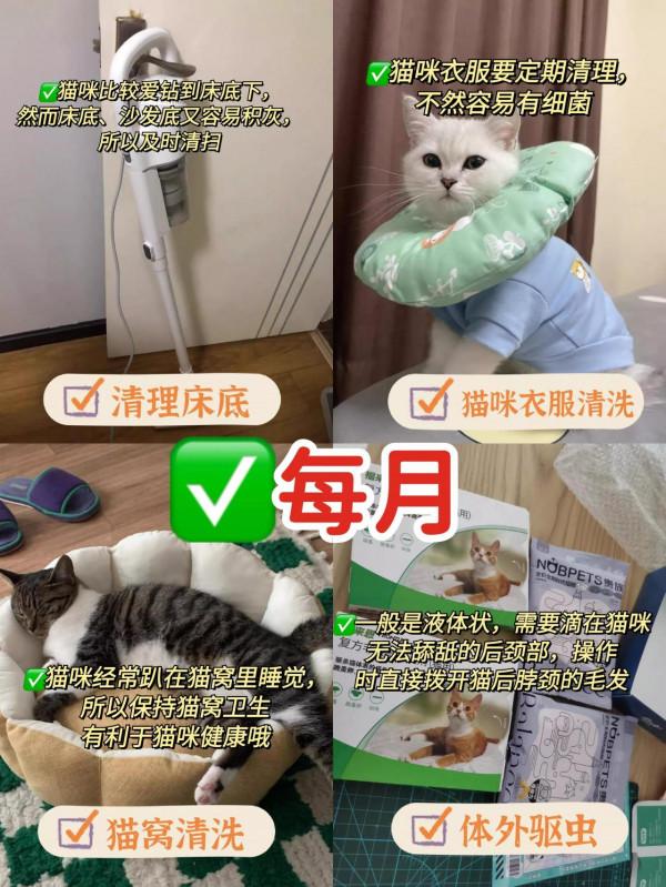 養貓的注意啦！冬天貓咪的這件事最需要警惕