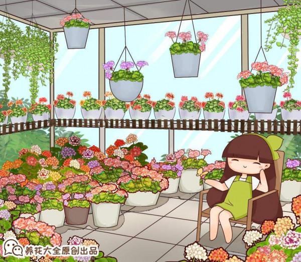 4種“省心爆盆花”,不招蟲特乾淨,適合新手家養 4種“省心爆盆花”,不招蟲特乾淨,適合新手家養