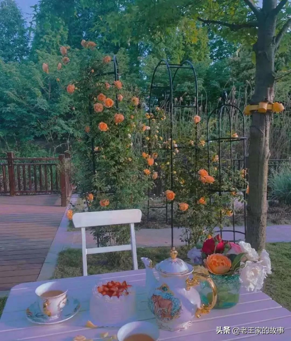 自打張馨予痴迷種菜當“農婦”後，自己家的院子，居然火了