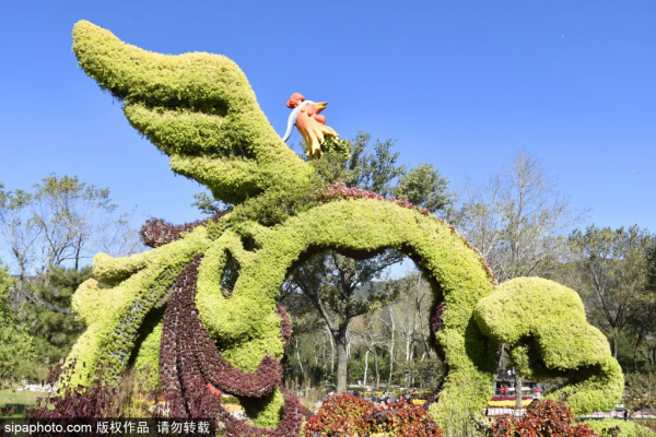 美爆了！這個寶藏公園藏著一大片花海，還有紅葉、銀杏！