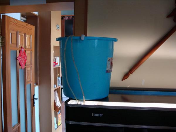 怎樣才能養出一缸讓人垂涎的水草