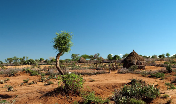 黑人體格壯碩,人口密度大,為何沒在冷兵器時代去征服世界呢? 黑人體格壯碩,人口密度大,為何沒在冷兵器時代去征服世界呢?