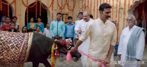 印度男子拋妻棄子，寧願和牛生活在一起，他的生活會幸福嗎？
