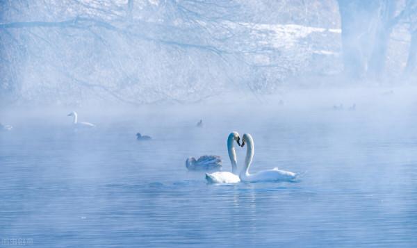 12月去哪玩?這8個美如畫卷的小眾打卡地,一到冬天就美成了仙境 12月去哪玩?這8個美如畫卷的小眾打卡地,一到冬天就美成了仙境