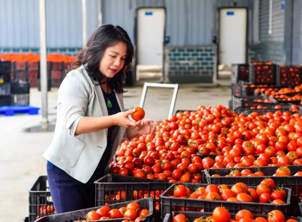 決戰千億賽道，它會是下一個“螺螄粉”嗎？