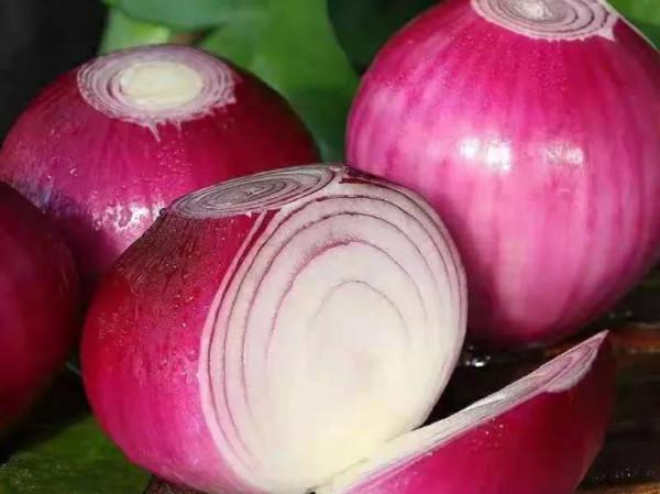 入秋後記得給孩子吃十種健康果蔬，營養豐富價格親民，人人吃得起