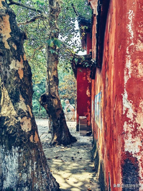 上有天堂，下有蘇杭，中間還有荻港