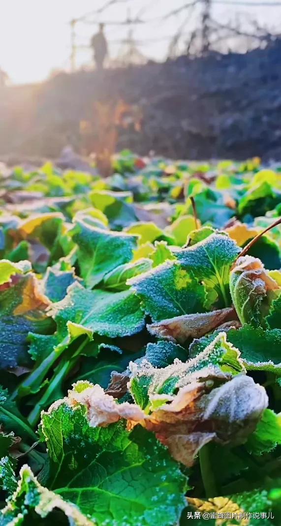 風景桌布美圖，祖國江山如畫，美不勝收