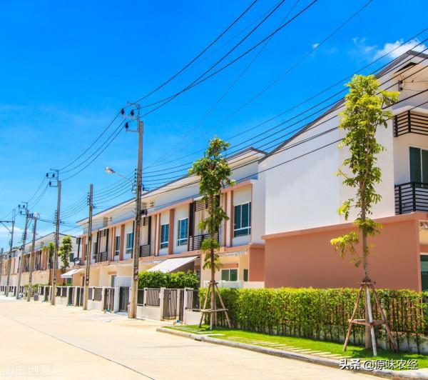 戰旗村模式：是中國農村的未來嗎？