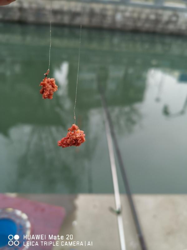 與小雜魚鬥智鬥勇,拼比毅力和耐性 與小雜魚鬥智鬥勇,拼比毅力和耐性