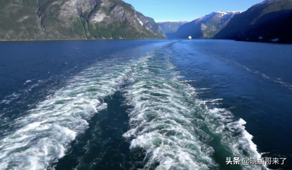 全面解析韓國世越號事件，為何學生不下船，政府不救援