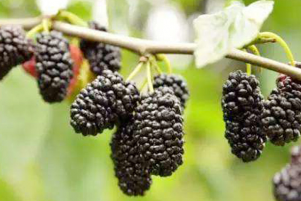 逛超市時,提醒大家:遇見這4款“廉價零食”別猶豫,好吃又不貴 逛超市時,提醒大家:遇見這4款“廉價零食”別猶豫,好吃又不貴