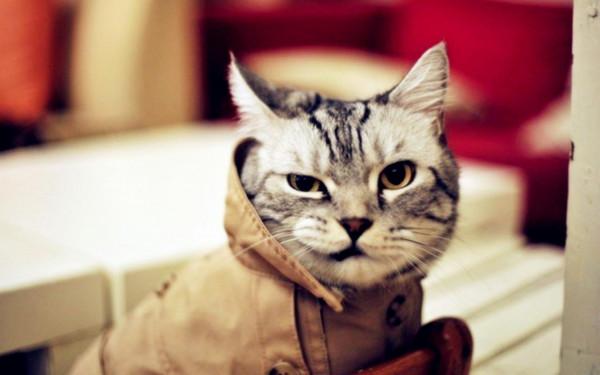 沒啥大的毛病,只是性格圓滑一些的話,肯定是會更招人喜歡的星座 沒啥大的毛病,只是性格圓滑一些的話,肯定是會更招人喜歡的星座