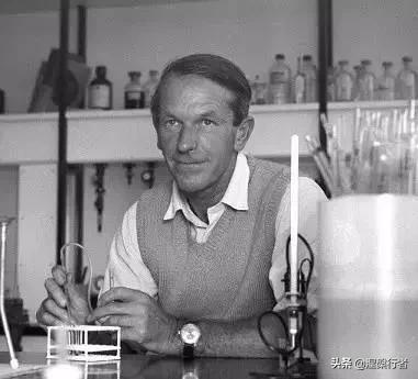 最懷才不遇的生物物理學家,發現全新生命種類,創立另類生命之樹 最懷才不遇的生物物理學家,發現全新生命種類,創立另類生命之樹