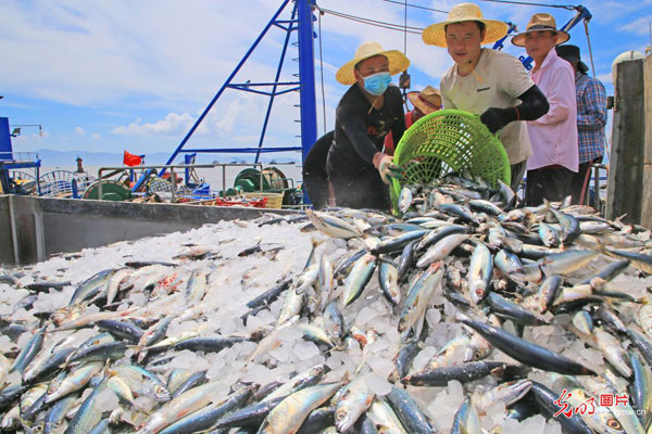 中秋時節話豐收 中秋時節話豐收