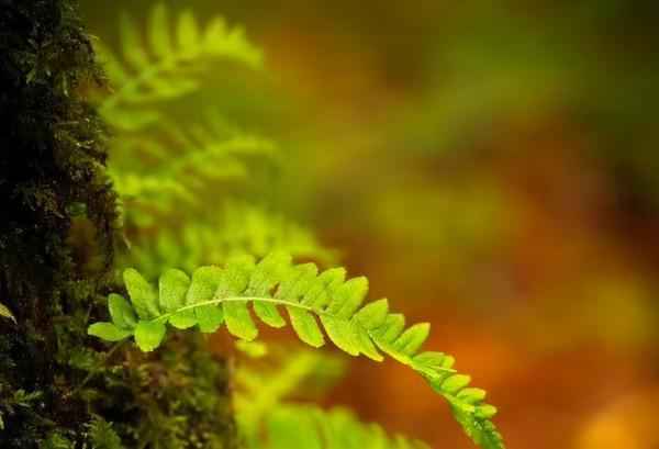 人生感悟：對自己越狠，越幸運