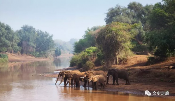 歷史上的今天12月11日，西晉滅亡，袁世凱稱帝，百色起義