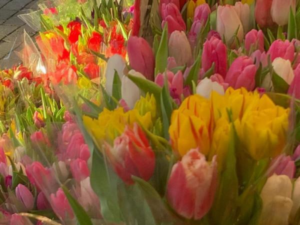 看似溫吞，實則骨子裡很要強的星座，他們不懼成敗，勇往直前