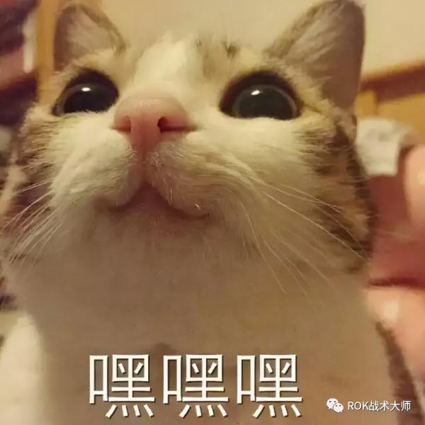 萬國覺醒丨黃金之國主流打法（下）