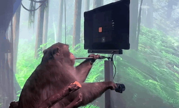 人與人最大的差距，就是對未來的認知