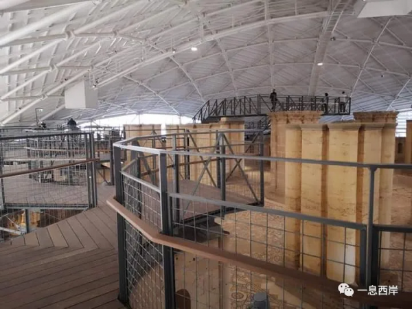 去傑里科的希沙姆宮遺址，看看世界現存最大面積的馬賽克地面