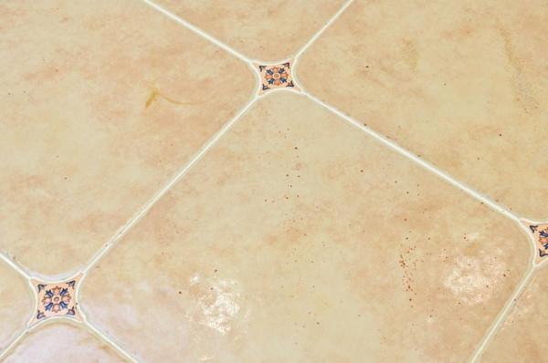 雲鯨、石頭、科沃斯?帶自清潔功能的掃拖一體機,深度對比幫你選 雲鯨、石頭、科沃斯?帶自清潔功能的掃拖一體機,深度對比幫你選