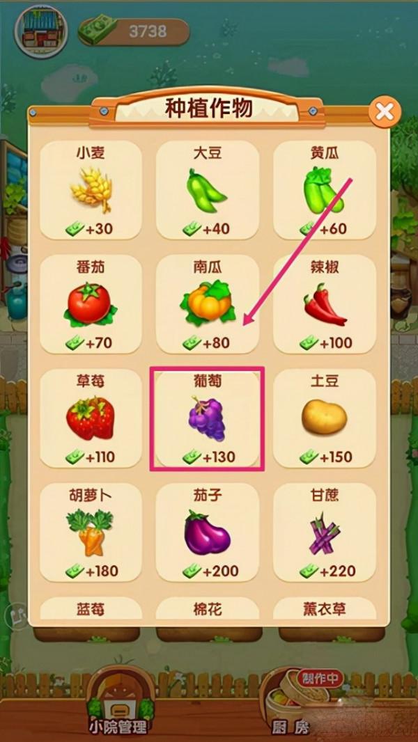 我的小農院正版 我的小農院正版