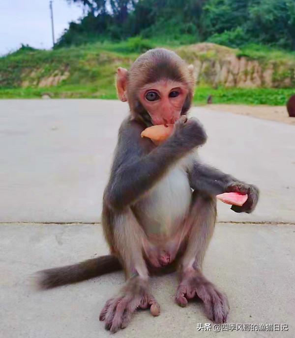 環海南親子5天4夜趕海行程：共享寒假時光