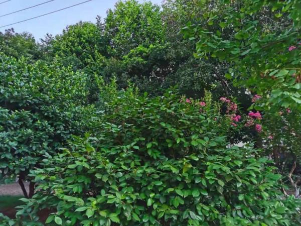 當孩子覺得父母不愛自己,其實是父母根本不知道怎麼愛自己 當孩子覺得父母不愛自己,其實是父母根本不知道怎麼愛自己