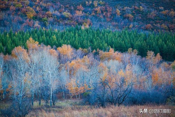 9月第一波秋色來啦!北方最美的6個好去處,開啟自駕遊之旅 9月第一波秋色來啦!北方最美的6個好去處,開啟自駕遊之旅