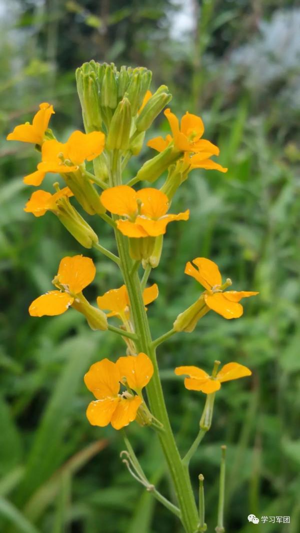晚間悅讀 | 贏得尊重的四種方式 晚間悅讀 | 贏得尊重的四種方式