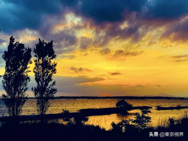 日本之最|日本那些鮮為人知卻也迷人的“第二名”,你知道幾個? 日本之最|日本那些鮮為人知卻也迷人的“第二名”,你知道幾個?