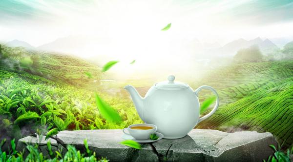 印度曾把茶葉做到世界第一,把中國茶葉逼入絕境,其中發生了什麼 印度曾把茶葉做到世界第一,把中國茶葉逼入絕境,其中發生了什麼