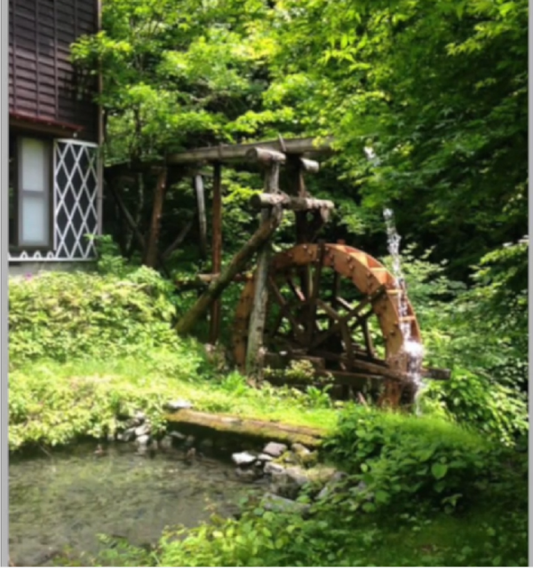 1972年,日本獨旅女孩身中24刀慘死,相機留下奇異照片成破案關鍵 1972年,日本獨旅女孩身中24刀慘死,相機留下奇異照片成破案關鍵