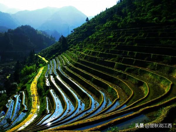 江西這款茶,有人說名字雖不算雅,但喝過一次就會愛上 江西這款茶,有人說名字雖不算雅,但喝過一次就會愛上