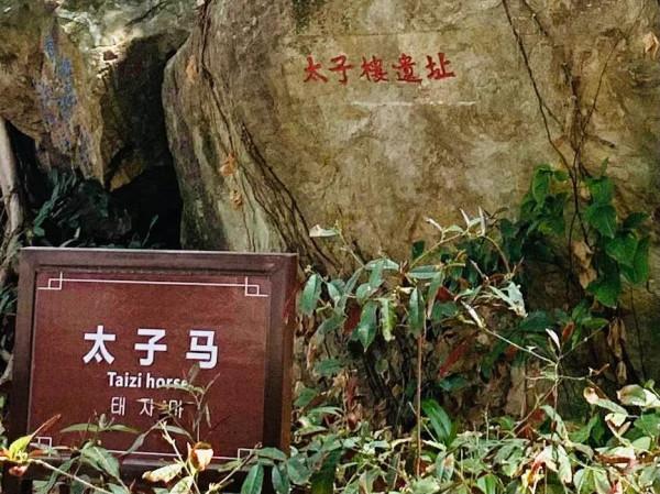 一口宋井引出三個小皇帝的故事：被俘，病逝，跳海。大宋落下帷幕