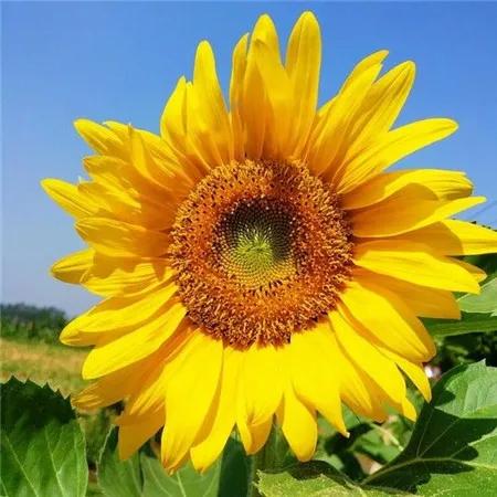 20年前的老同學付了我65元漢堡錢:長久的友情,都是錢上互不相欠 20年前的老同學付了我65元漢堡錢:長久的友情,都是錢上互不相欠