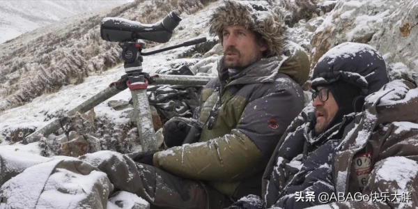 西藏雪豹的詩意凝視,一部非凡的野生動物紀錄片 西藏雪豹的詩意凝視,一部非凡的野生動物紀錄片