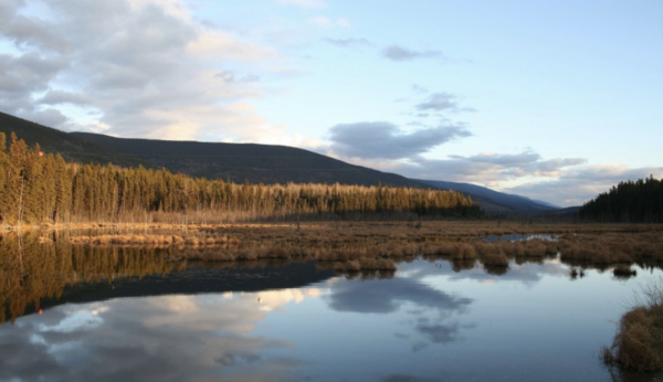 圓滑通透，悲喜自渡的星座，他們精神境界很高，不依附於外在事物