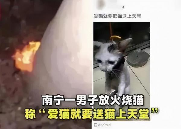 大學生虐殺80只貓事件後續：人渣，永遠都不配為人