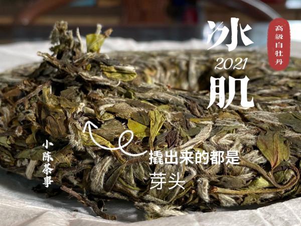 從芽頭、葉片到茶梗,教你分辨白牡丹餅與春壽眉餅,很全很詳細 從芽頭、葉片到茶梗,教你分辨白牡丹餅與春壽眉餅,很全很詳細