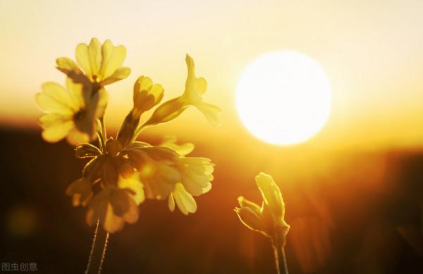 怕冷,感覺寒氣往骨頭縫裡鑽,不一定是陽虛!這個病案值得細品 怕冷,感覺寒氣往骨頭縫裡鑽,不一定是陽虛!這個病案值得細品