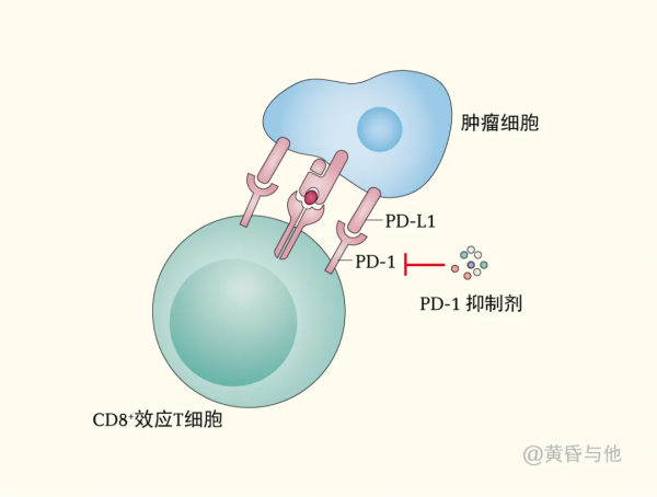 所有腫瘤患者都適合免疫治療嗎? 所有腫瘤患者都適合免疫治療嗎?