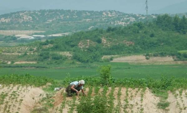 追憶我在朝鮮生活的日子(8) 追憶我在朝鮮生活的日子(8)